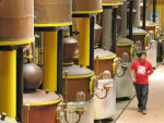 Distilleerderij Capel, waar de pisco vandaan komt