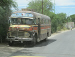 Veelkleurige bus