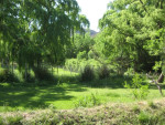 Door het bos naar het dorp