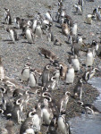 Beetje druk op het strand