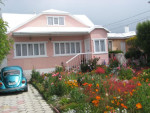 Mooie bloementuin in Zuid-Patagonië