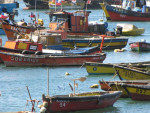 Vissersbootjes in de haven