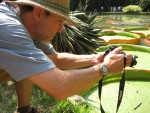 Ervaren fotograaf Chico