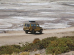 Saltcruiser