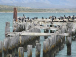 Oude steiger in Puerto Natales