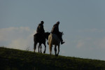 Russische gaucho's