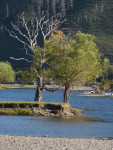 Aan de rivier 
